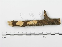 登錄號:F0001380藏品圖，第1張