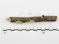 登錄號:F0001380藏品圖，第3張