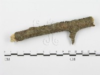 登錄號:F0001380藏品圖，第4張