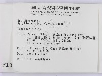 登錄號:F0001381藏品圖，第2張