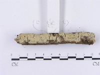 登錄號:F0001381藏品圖，第4張