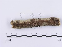 登錄號:F0001381藏品圖，第5張