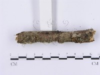 登錄號:F0001381藏品圖，第6張