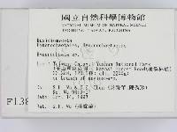 刺革菌屬藏品圖，第2張