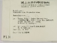 刺革菌屬藏品圖，第2張