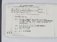 登錄號:F0001384藏品圖，第2張