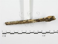 登錄號:F0001384藏品圖，第3張