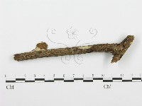 登錄號:F0001384藏品圖，第4張