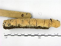 登錄號:F0001385藏品圖，第3張