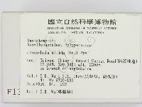 登錄號:F0001386藏品圖，第2張