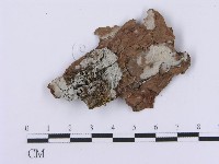 登錄號:F0001387藏品圖，第1張