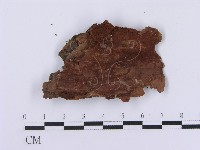 登錄號:F0001387藏品圖，第3張