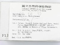 登錄號:F0001388藏品圖，第2張