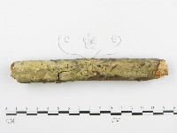 登錄號:F0001388藏品圖，第1張