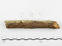登錄號:F0001388藏品圖，第5張