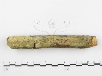 登錄號:F0001388藏品圖，第7張