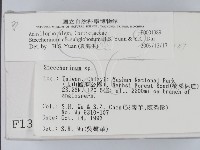 登錄號:F0001389藏品圖，第2張