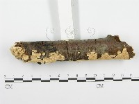 登錄號:F0001389藏品圖，第5張