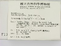 剛毛絲皮菌藏品圖，第2張