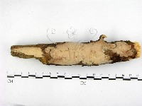 登錄號:F0001391藏品圖，第1張