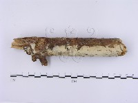 登錄號:F0001392藏品圖，第3張