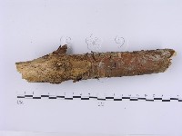登錄號:F0001392藏品圖，第4張
