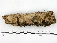登錄號:F0001393藏品圖，第1張