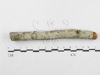 登錄號:F0001394藏品圖，第1張