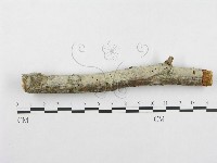 登錄號:F0001394藏品圖，第3張