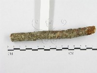 登錄號:F0001394藏品圖，第4張