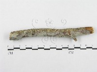 登錄號:F0001394藏品圖，第5張