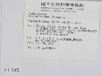 登錄號:F0001395藏品圖，第2張