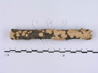 登錄號:F0001395藏品圖，第1張