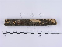 登錄號:F0001395藏品圖，第4張