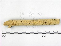 登錄號:F0001396藏品圖，第1張