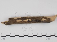 登錄號:F0001398藏品圖，第1張