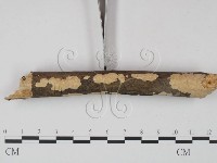 登錄號:F0001398藏品圖，第3張