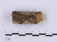 登錄號:F0001399藏品圖，第3張