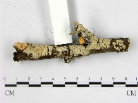 登錄號:F0001400藏品圖，第3張