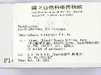 登錄號:F0001401藏品圖，第2張