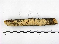 登錄號:F0001401藏品圖，第1張
