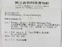 刺革菌屬藏品圖，第2張