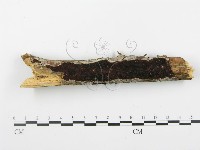 登錄號:F0001403藏品圖，第3張