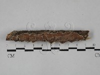 登錄號:F0001404藏品圖，第1張