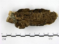 登錄號:F0001405藏品圖，第1張