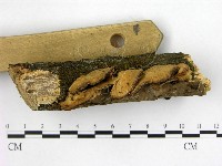 登錄號:F0001405藏品圖，第3張