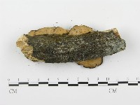 登錄號:F0001405藏品圖，第4張