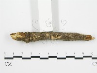 登錄號:F0001407藏品圖，第3張