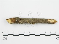 登錄號:F0001407藏品圖，第4張