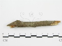 登錄號:F0001407藏品圖，第5張